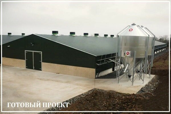 Этапы возведения птицефабрики от завода ВелесТент-нвк